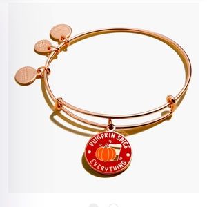 Alex and Ani Pumpkin Spice Everything bracelet new with card in sealed bag